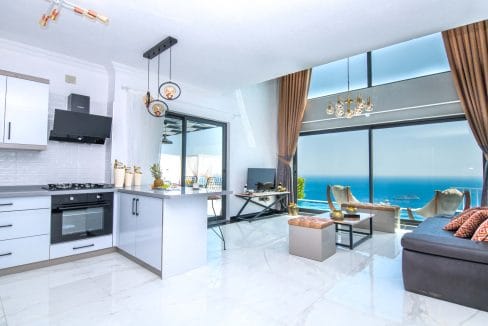Villa Mulberry 1.20.