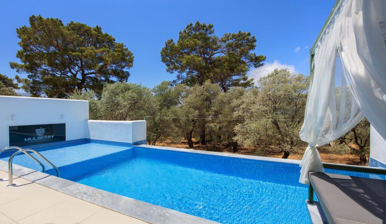 Villa Nettle 1